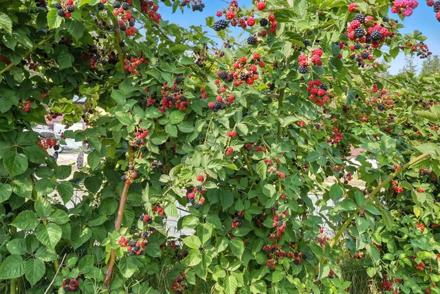 $6,750,000 | 38278 Angels Landing Road North, Ford, WA 99013