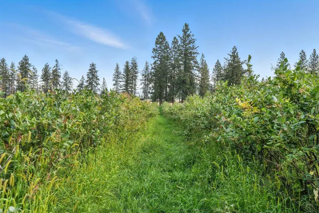 $6,750,000 | 38278 Angels Landing Road North, Ford, WA 99013