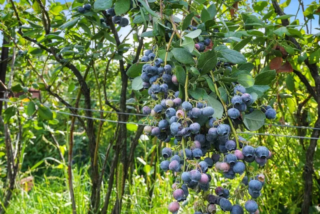 $6,750,000 | 38278 Angels Landing Road North, Ford, WA 99013