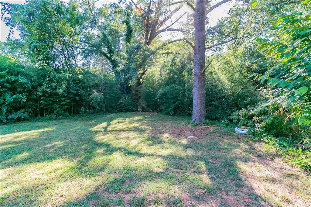 1669 Freedom Valley Decatur, GA 30032 - Photo 25 of 27 a view of a yard with a tree