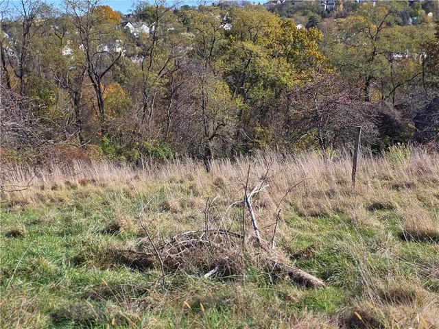 a view of a lush green forest with lots of trees