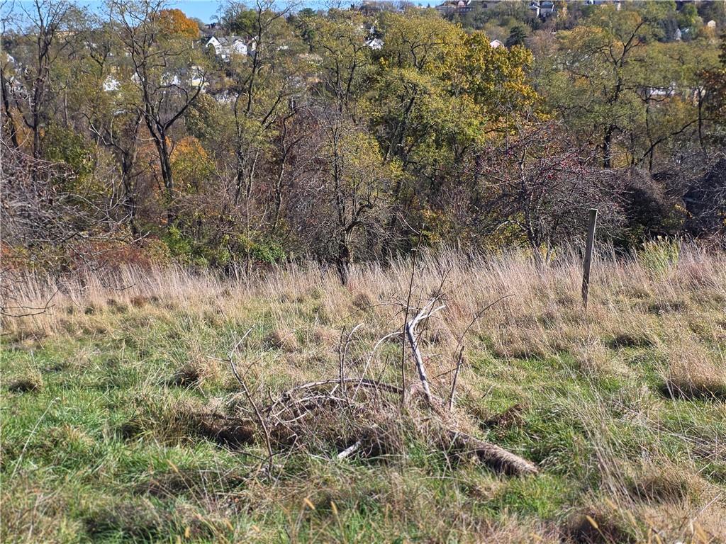a view of a lush green forest with lots of trees