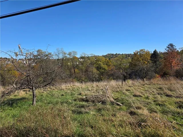 a view of a large yard with lots of green space