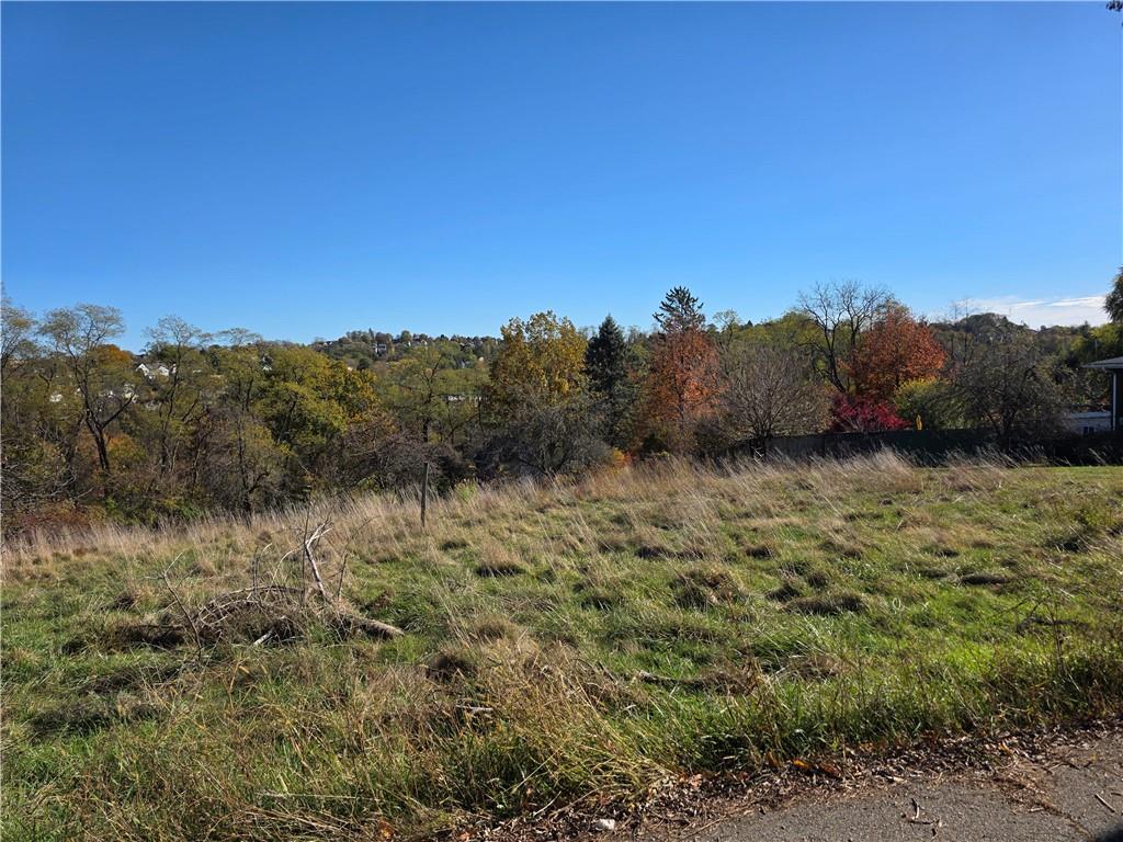 159 Roseberry Lane Pittsburgh, PA 15216 - Photo 13 of 14 a view of a large yard with lots of green space