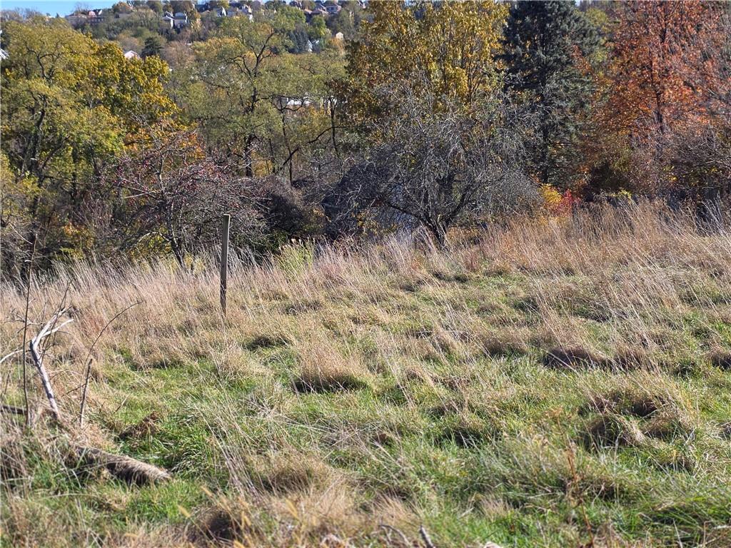 159 Roseberry Lane Pittsburgh, PA 15216 - Photo 2 of 14 a view of a yard
