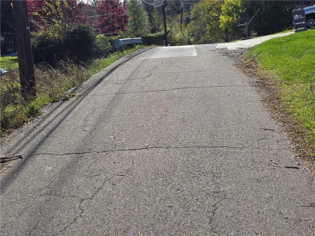 a view of a pathway both side of yard