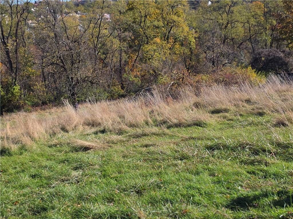 159 Roseberry Lane Pittsburgh, PA 15216 - Photo 6 of 14 a view of a yard