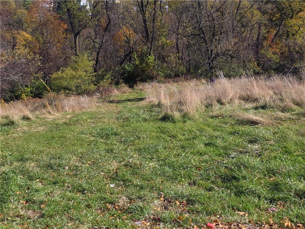 159 Roseberry Lane Pittsburgh, PA 15216 - Photo 8 of 14 a view of a yard