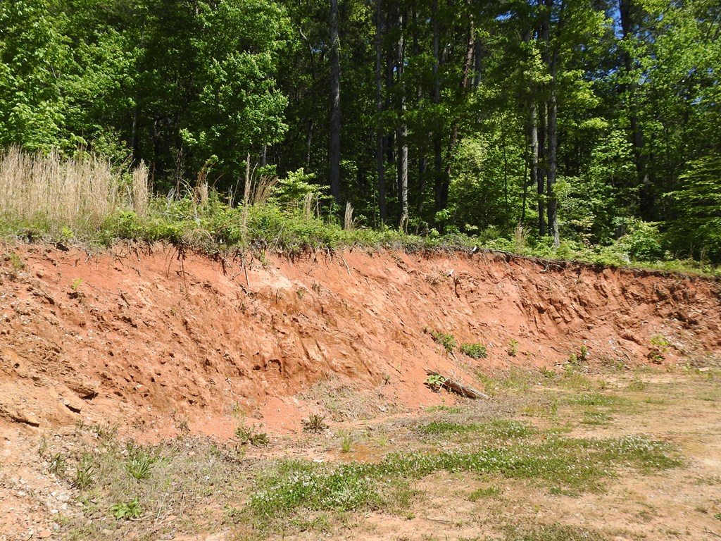 9503 Tails Creek Road Ellijay, GA 30540 - Photo 38 of 49 Gallery Image 38