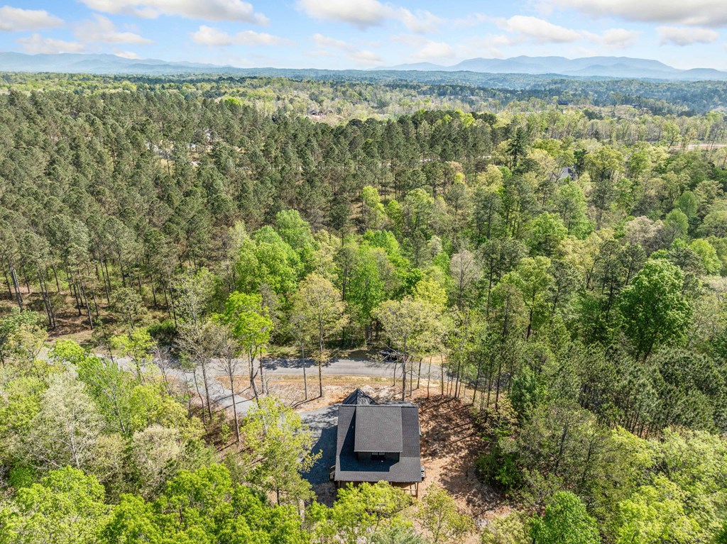 1310 High River Road Ellijay, GA 30540 - Photo 28 of 29 Gallery Image 28