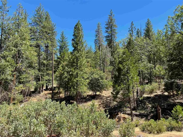 a view of a yard covered in snow