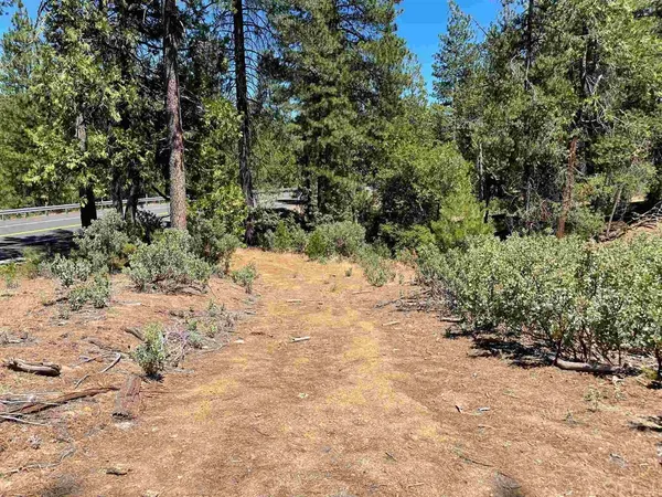 a view of a yard with trees
