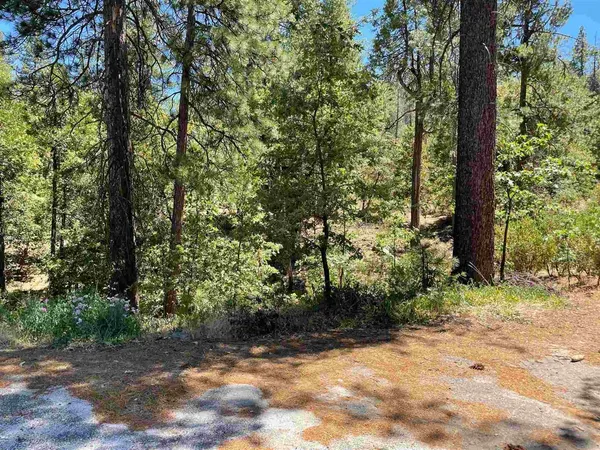 a view of snow on the side of road