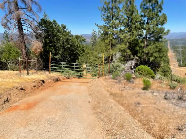 a view of a yard with a tree