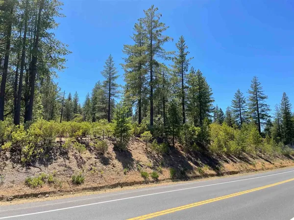 a view of a yard from a window
