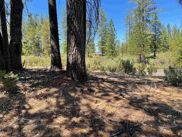 a view of backyard with green space