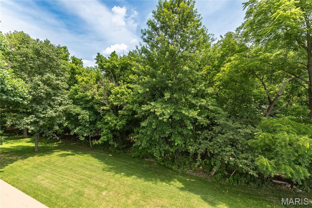 932 Cleta Drive Ballwin, MO 63021 - Photo 25 of 54