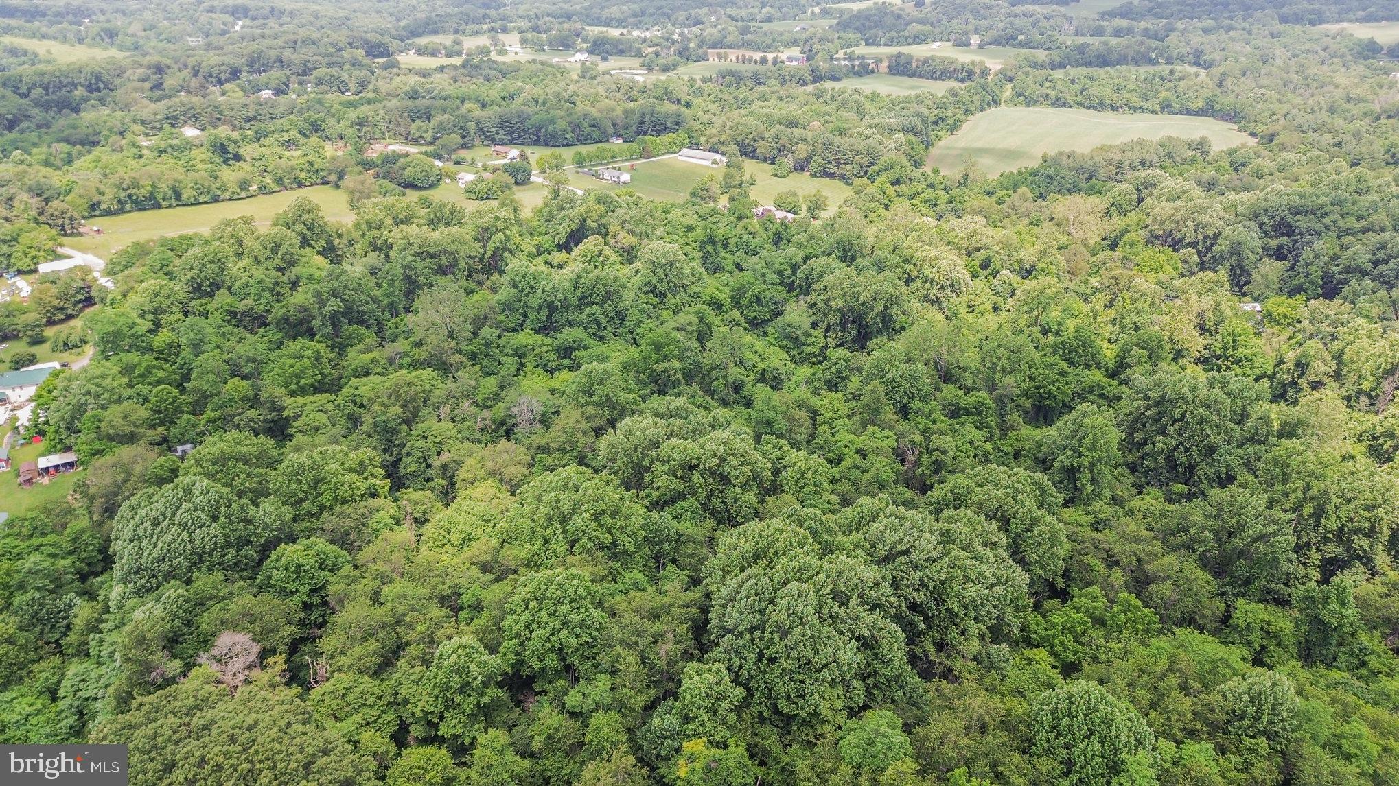Colora Road Port Deposit, MD 21904 - Photo 3 of 19 a view of a forest with a street