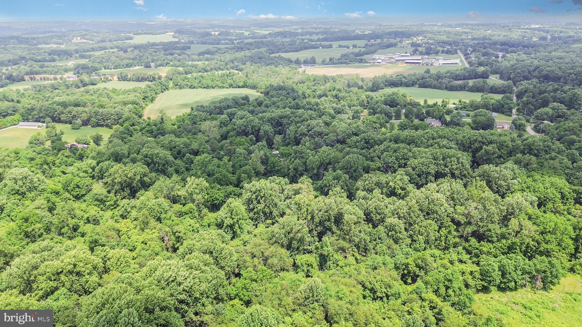 Colora Road Port Deposit, MD 21904 - Photo 4 of 19 a view of a yard with an outdoor space