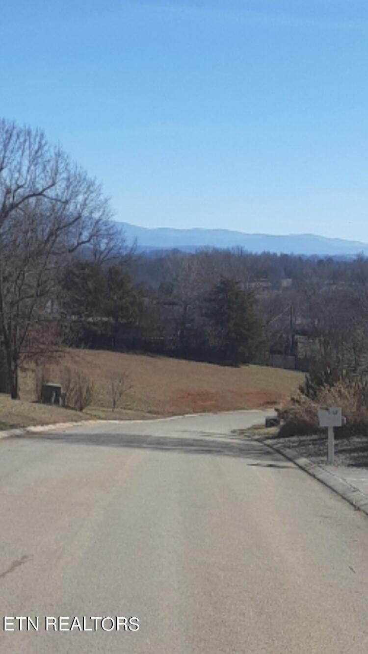 149 Cold Creek Road Madisonville, TN 37354 - Photo 3 of 3 Gallery Image 3