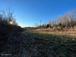 60 Country Church Road Ashland, MS 38603 - Photo 11 of 18 unnamed (6)