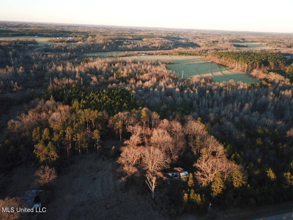 60 Country Church Road Ashland, MS 38603 - Photo 13 of 18 unnamed (15)