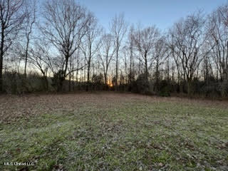 60 Country Church Road Ashland, MS 38603 - Photo 17 of 18 unnamed (19)