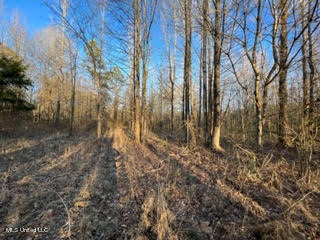 60 Country Church Road Ashland, MS 38603 - Photo 18 of 18 unnamed