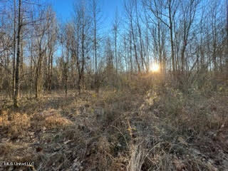 60 Country Church Road Ashland, MS 38603 - Photo 5 of 18 unnamed (1)