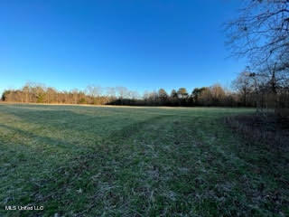 60 Country Church Road Ashland, MS 38603 - Photo 6 of 18 unnamed (7)