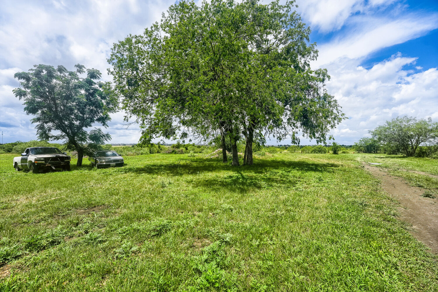 14520 Bois-D-Arc Road Manor, TX 78653 - Photo 4 of 21 a view of park with trees