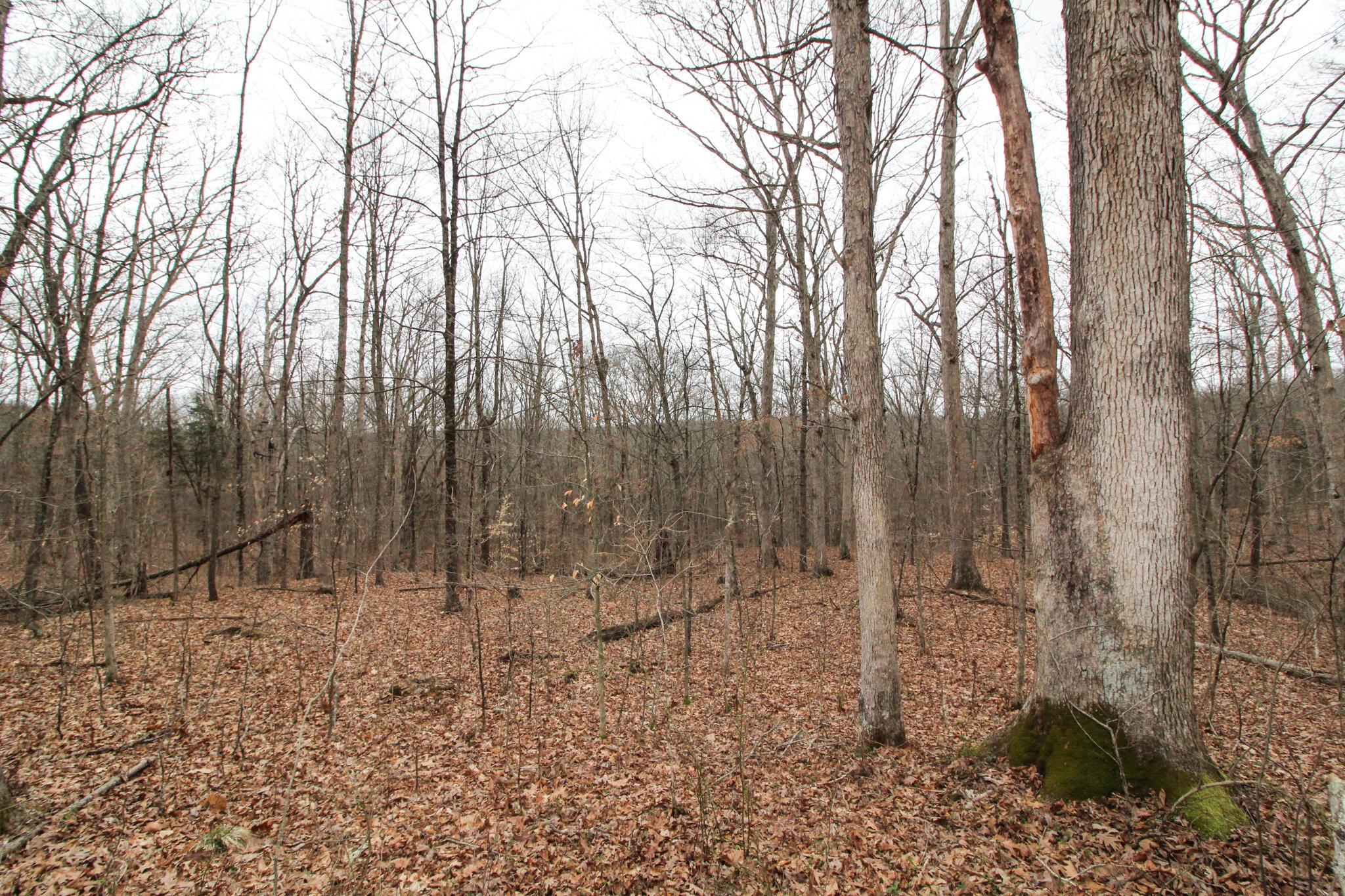 14630 Robinson Road Amesville, OH 45711 - Photo 23 of 39 IMG_3998