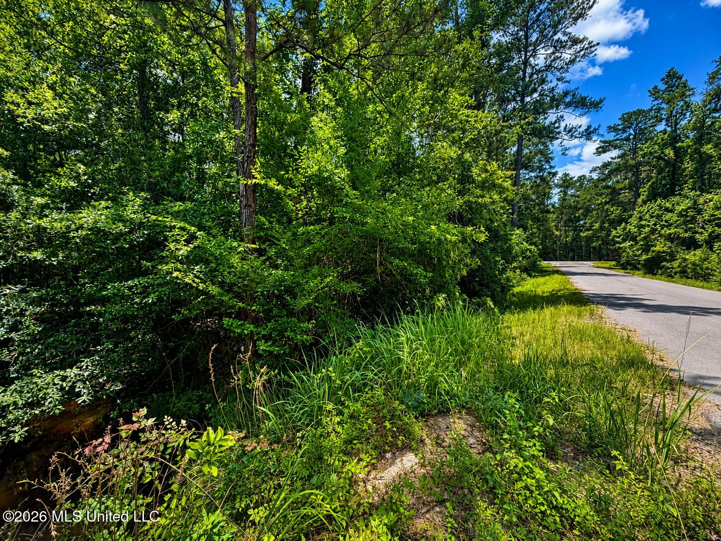 8.2-acres Breland Road McLain, MS 39456 - Photo 11 of 11 ChatGPT Image Jun 17, 2026, 12_01_41 PM