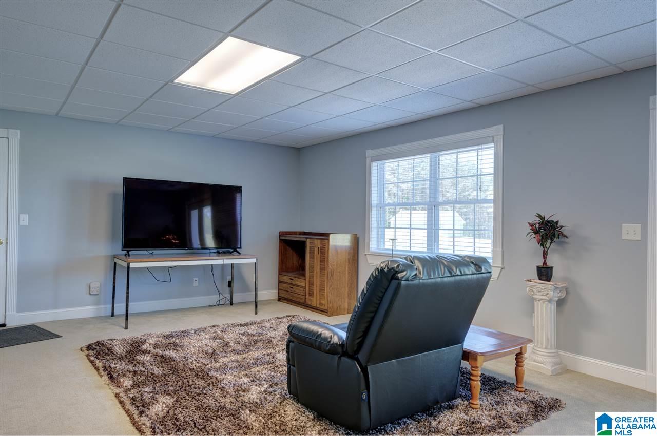 2475 Co Highway 24 Springville, AL 35146 - Photo 25 of 43