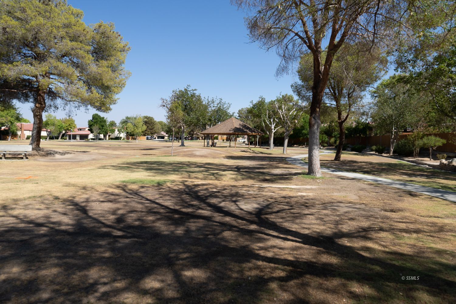 418 Mt Rainier Place Ridgecrest, CA 93555 - Photo 39 of 45 a view of a yard with a tree