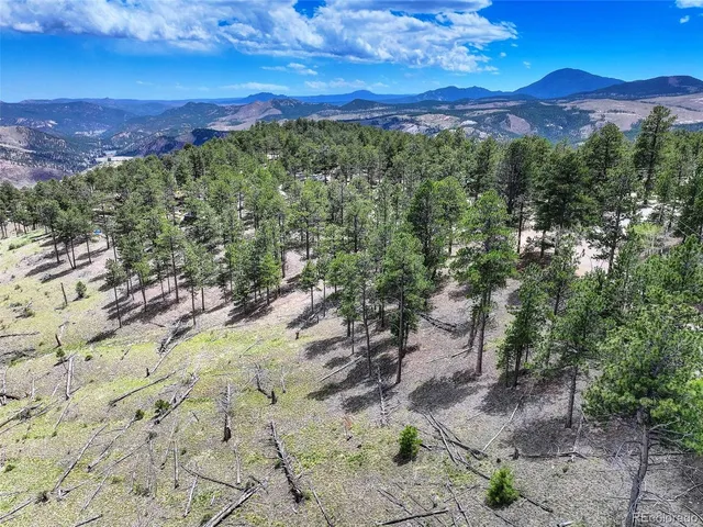 $175,000 | 54 Holmes Gulch Road, Bailey, CO 80421