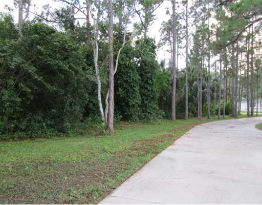 12257 Sandy Run Road Jupiter, FL 33478 - Photo 4 of 16 Additional Photo