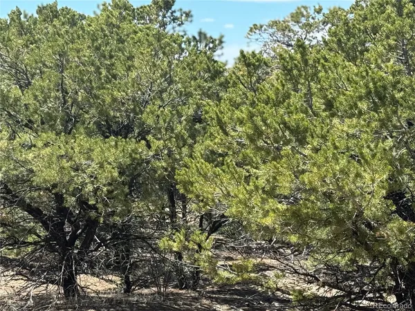 $17,000 | 103 Ute Drive, Mosca, CO 81146