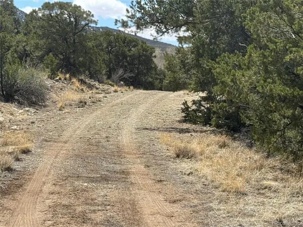 $17,000 | 103 Ute Drive, Mosca, CO 81146