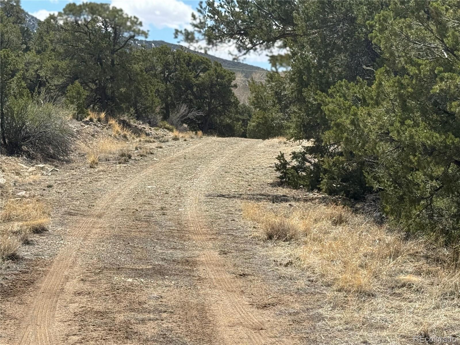 103 Ute Drive Mosca, CO 81146 - Photo 12 of 16