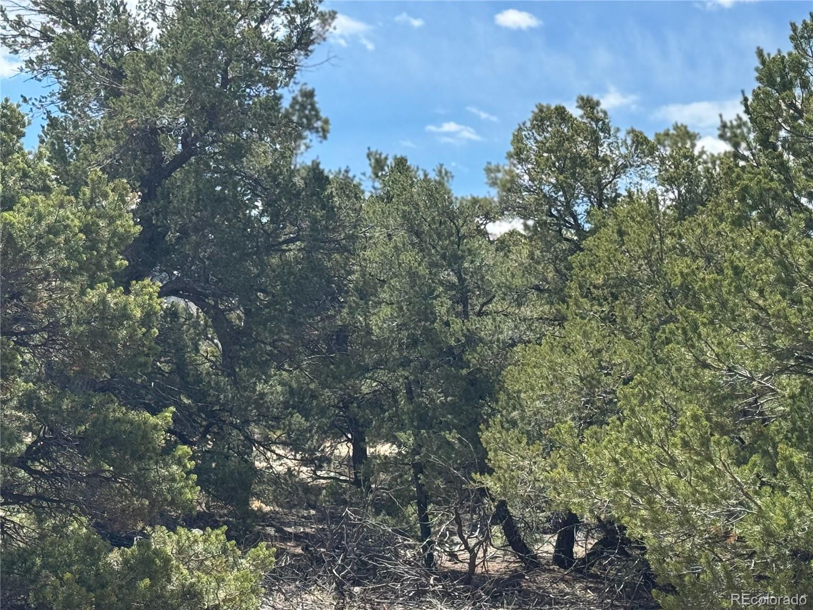 103 Ute Drive Mosca, CO 81146 - Photo 13 of 16