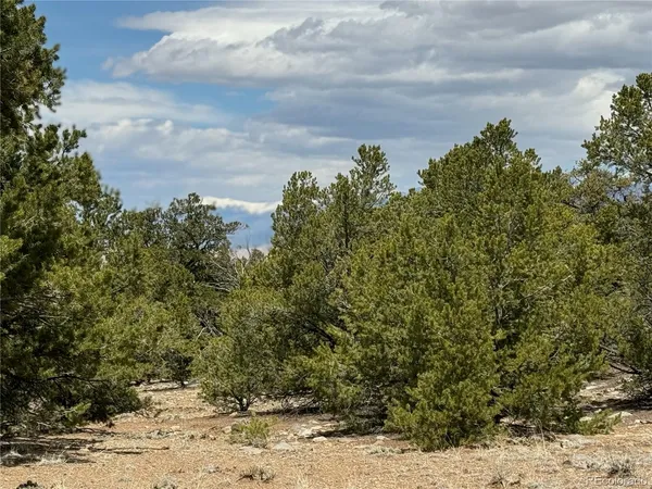 $17,000 | 103 Ute Drive, Mosca, CO 81146