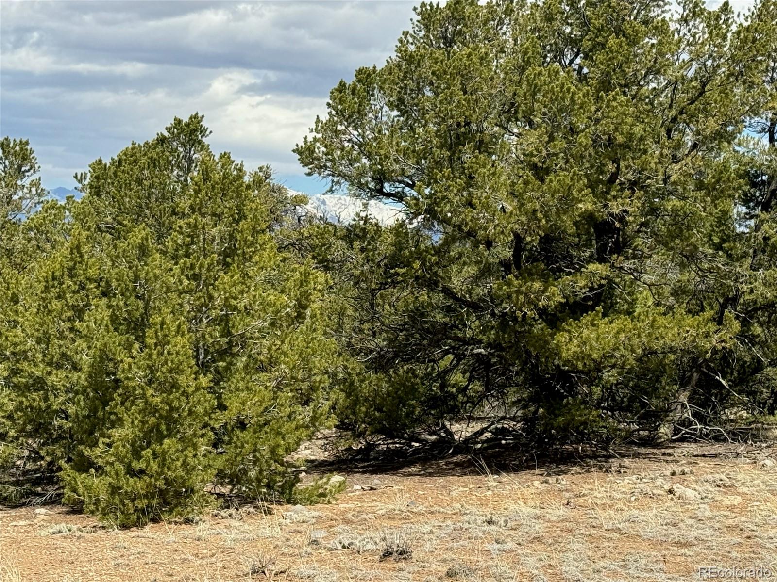103 Ute Drive Mosca, CO 81146 - Photo 15 of 16