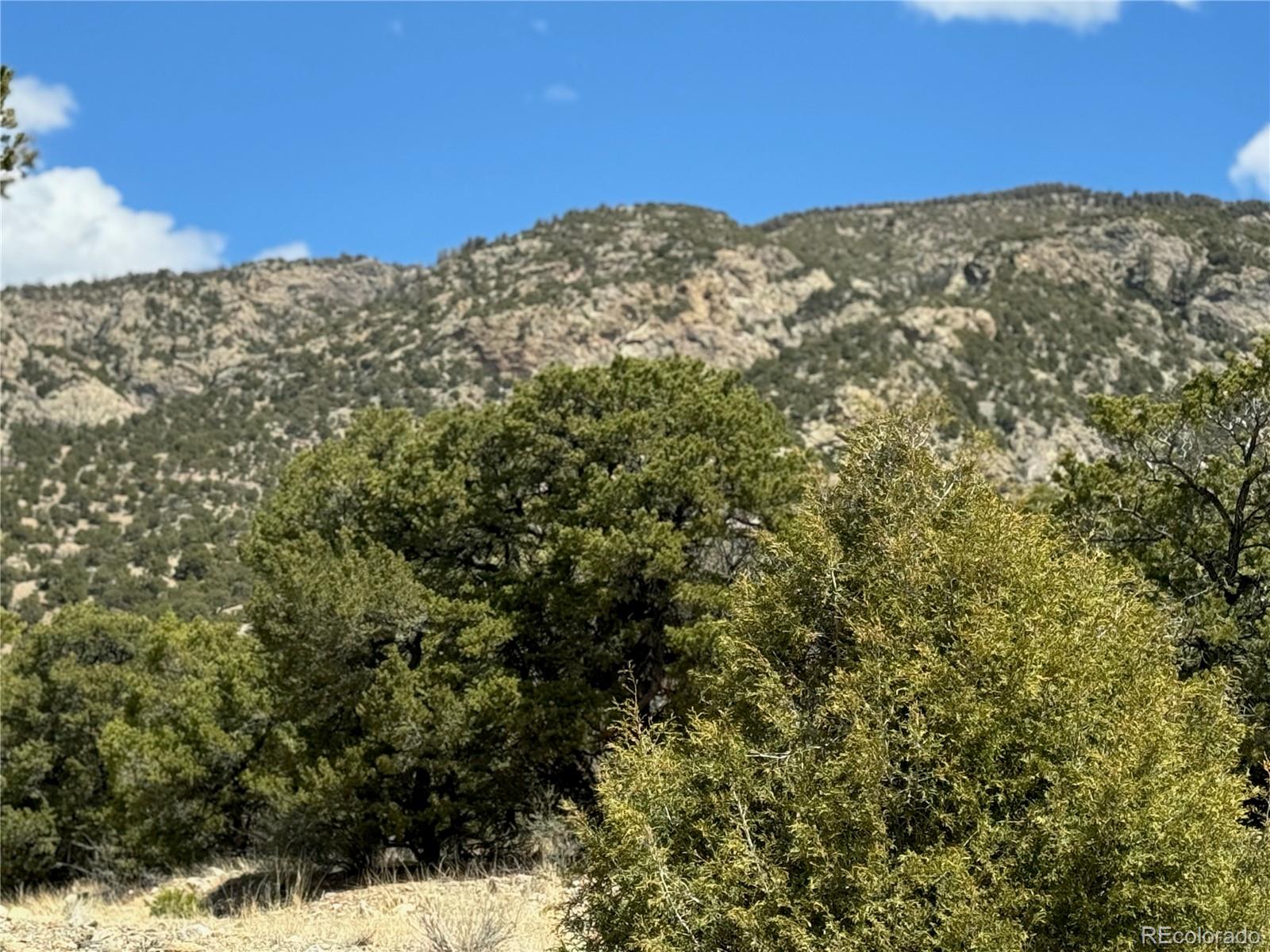 103 Ute Drive Mosca, CO 81146 - Photo 3 of 16