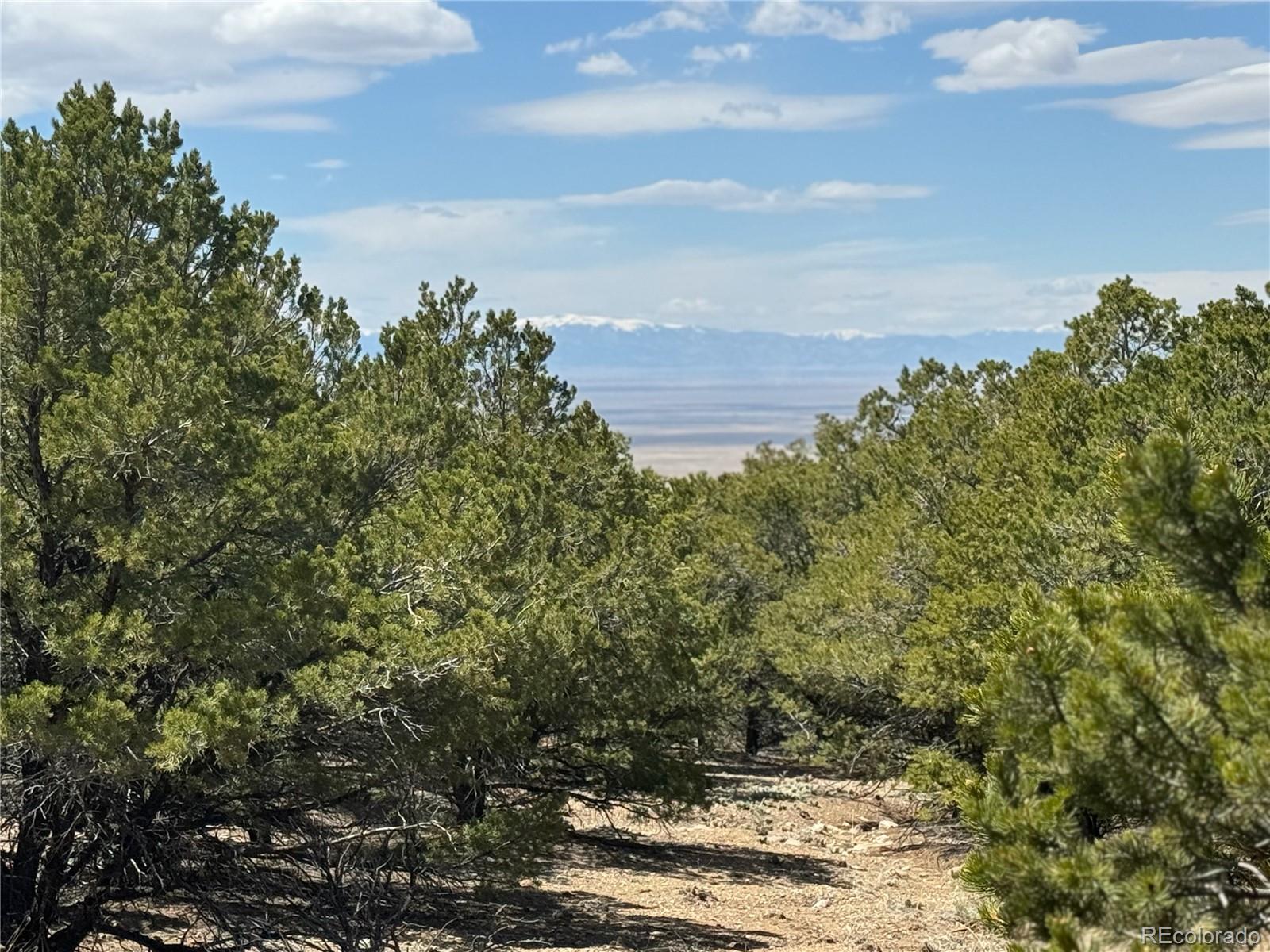 103 Ute Drive Mosca, CO 81146 - Photo 4 of 16