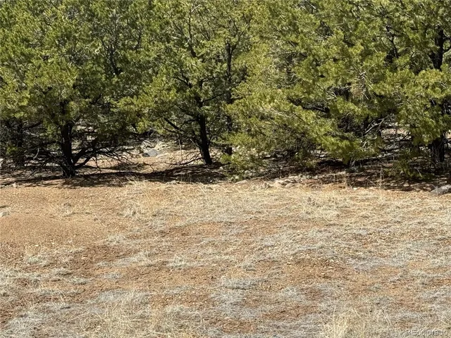 $17,000 | 103 Ute Drive, Mosca, CO 81146