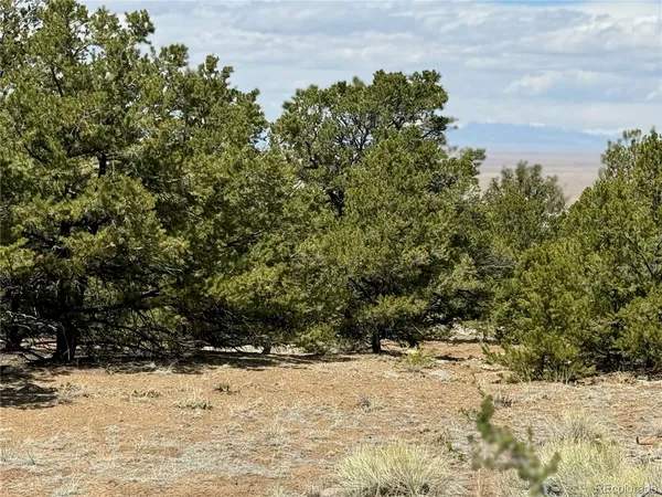 $17,000 | 103 Ute Drive, Mosca, CO 81146