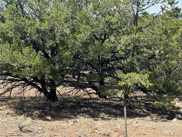 $17,000 | 103 Ute Drive, Mosca, CO 81146