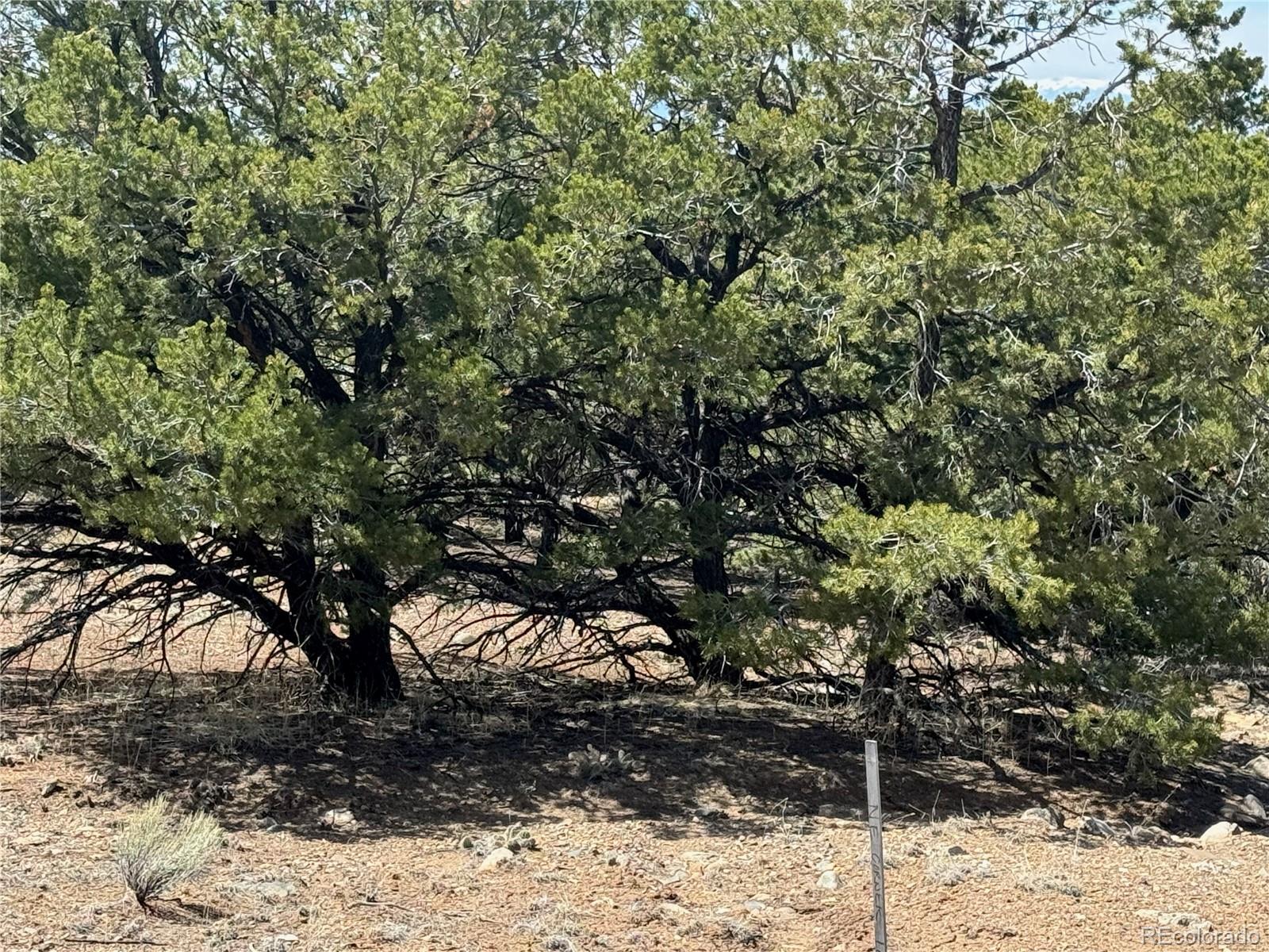 103 Ute Drive Mosca, CO 81146 - Photo 9 of 16
