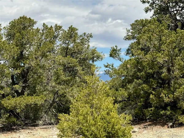 $17,000 | 103 Ute Drive, Mosca, CO 81146